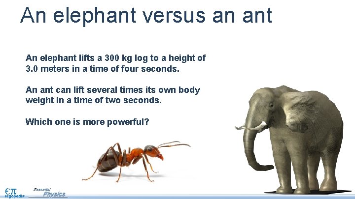 An elephant versus an ant An elephant lifts a 300 kg log to a