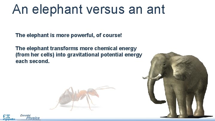 An elephant versus an ant The elephant is more powerful, of course! The elephant