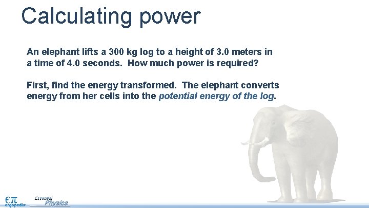 Calculating power An elephant lifts a 300 kg log to a height of 3.