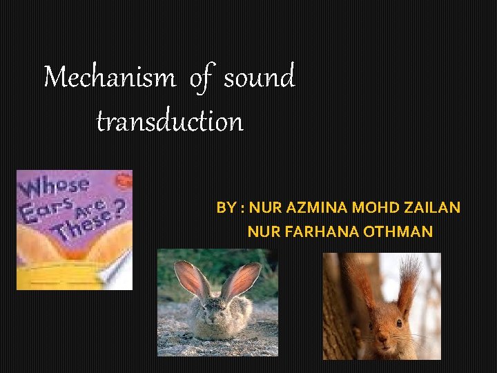 Mechanism of sound transduction BY : NUR AZMINA MOHD ZAILAN NUR FARHANA OTHMAN 