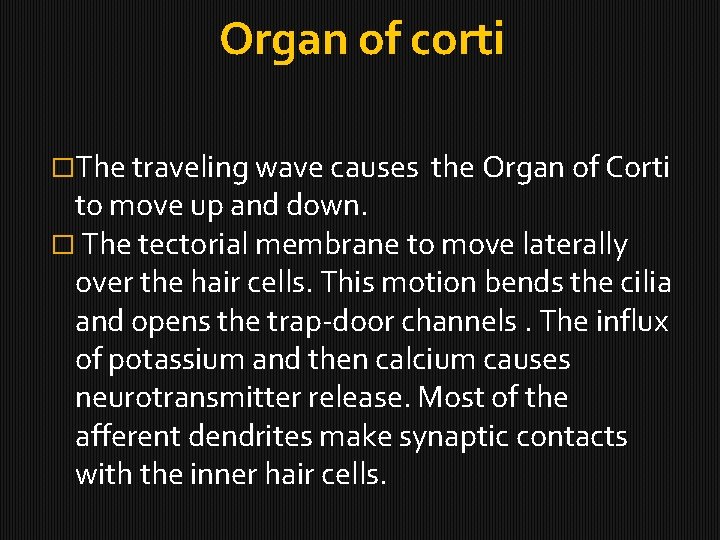 Organ of corti �The traveling wave causes the Organ of Corti to move up