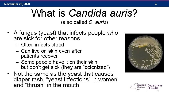 November 23, 2020 4 What is Candida auris? (also called C. auris) • A