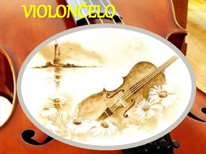 VIOLONČELO 