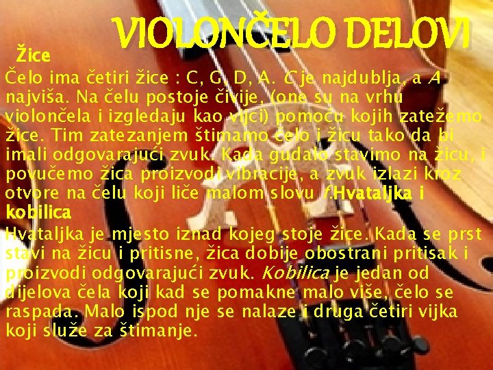 VIOLONČELO DELOVI Žice Čelo ima četiri žice : C, G, D, A. C je