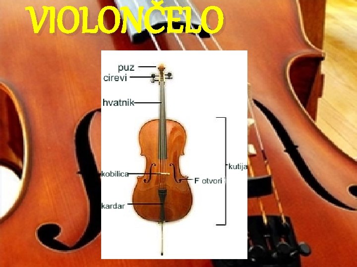 VIOLONČELO 