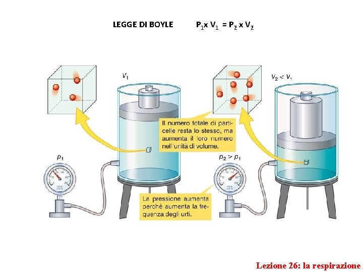 LEGGE DI BOYLE P 1 x V 1 = P 2 x V 2