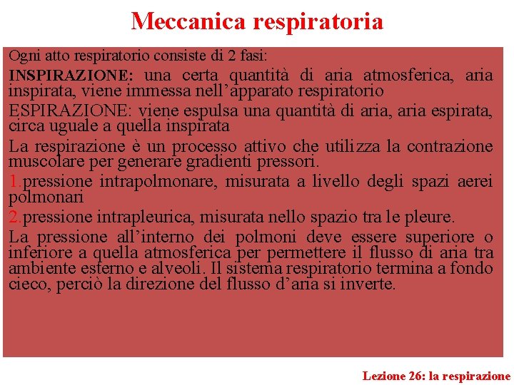 Meccanica respiratoria Ogni atto respiratorio consiste di 2 fasi: INSPIRAZIONE: una certa quantità di
