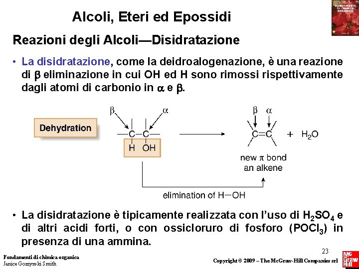 Alcoli, Eteri ed Epossidi Reazioni degli Alcoli—Disidratazione • La disidratazione, come la deidroalogenazione, è