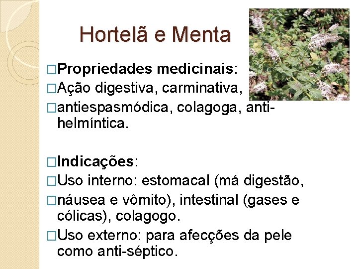Hortelã e Menta �Propriedades medicinais: �Ação digestiva, carminativa, �antiespasmódica, colagoga, antihelmíntica. �Indicações: �Uso interno: