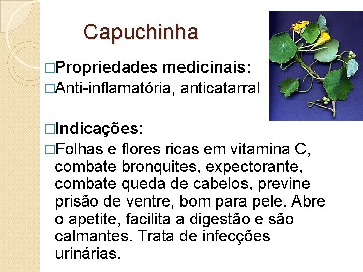 Capuchinha �Propriedades medicinais: �Anti-inflamatória, anticatarral �Indicações: �Folhas e flores ricas em vitamina C, combate