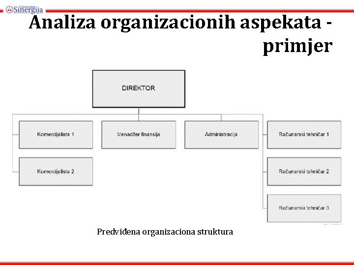 Analiza organizacionih aspekata primjer Predviđena organizaciona struktura 