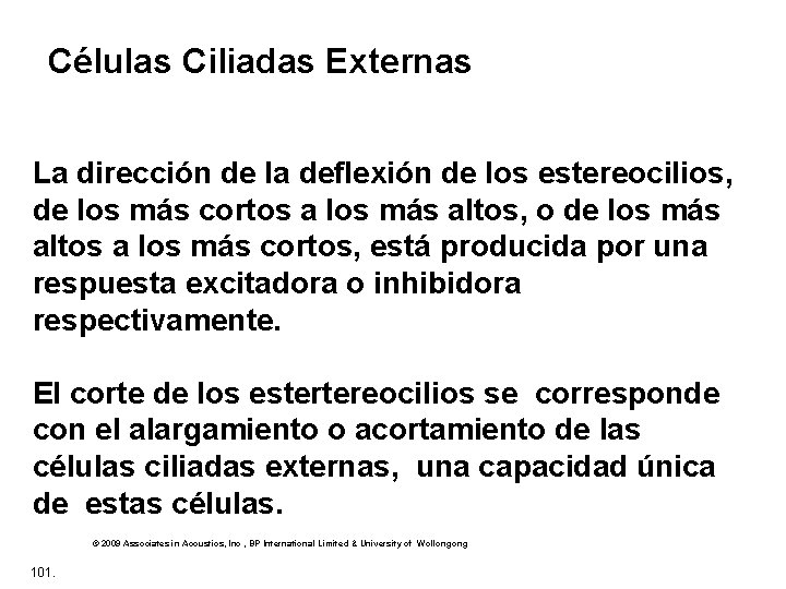 Células Ciliadas Externas La dirección de la deflexión de los estereocilios, de los más