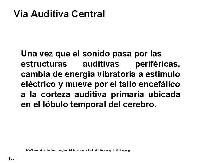 Vía Auditiva Central Una vez que el sonido pasa por las estructuras auditivas periféricas,