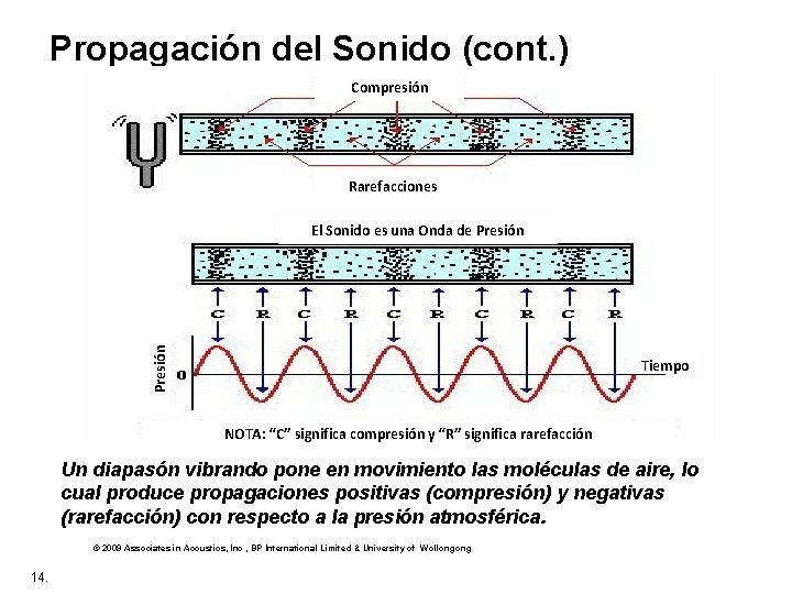 Propagación del Sonido (cont. ) Compresión Rarefacciones Presión El Sonido es una Onda de