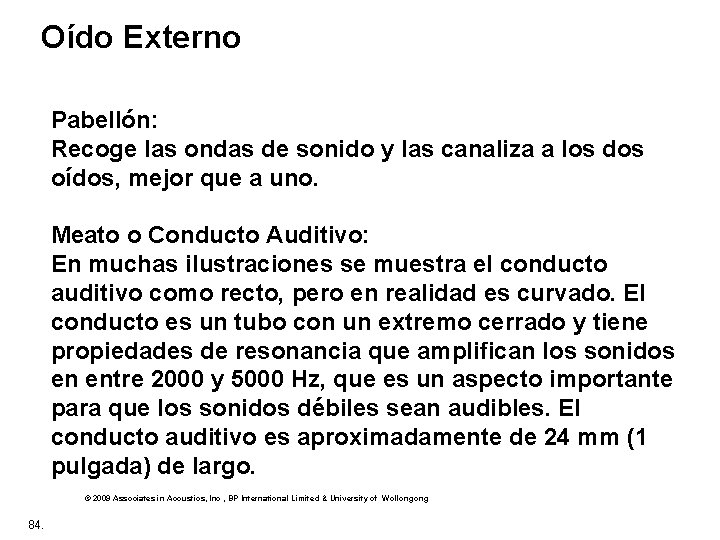 Oído Externo Pabellón: Recoge las ondas de sonido y las canaliza a los dos