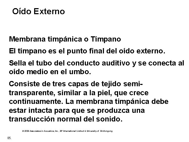 Oído Externo Membrana timpánica o Tímpano El tímpano es el punto final del oído