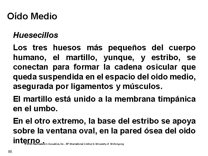 Oído Medio Huesecillos Los tres huesos más pequeños del cuerpo humano, el martillo, yunque,