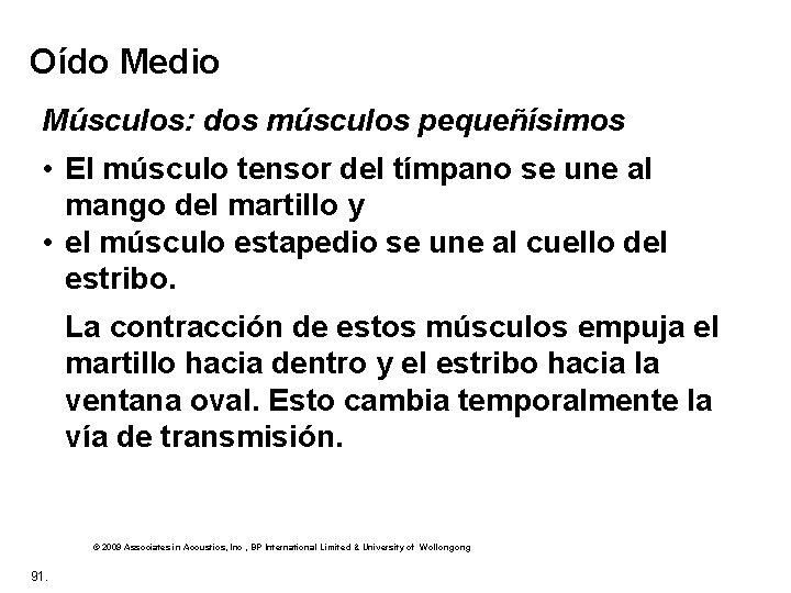 Oído Medio Músculos: dos músculos pequeñísimos • El músculo tensor del tímpano se une