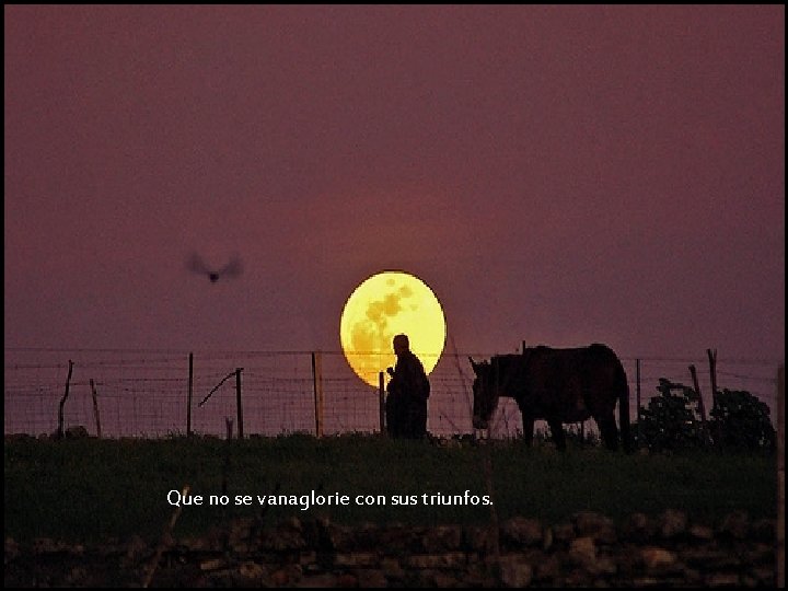 Que no se vanaglorie con sus triunfos. Que no se vanaglorie con sus triunfos.
