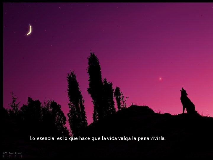 Lo esencial es lo que hace que la vida valga la pena vivirla. Lo esencial es lo que hace que la vida valga la pena vivirla.