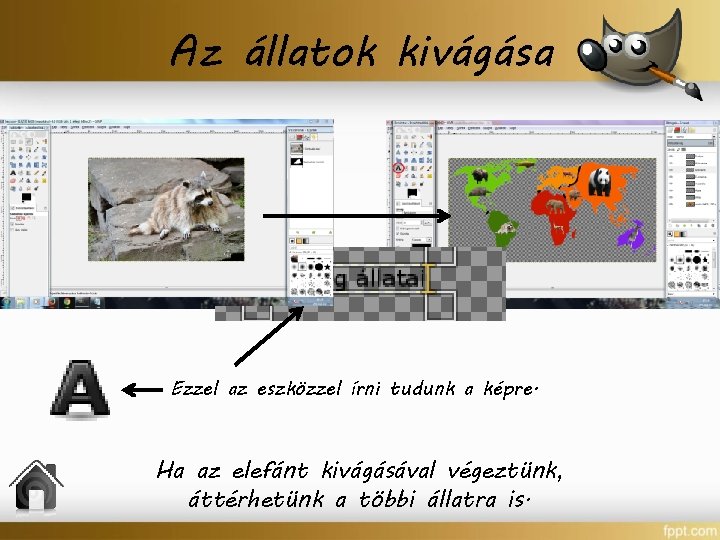 Az állatok kivágása Ezzel az eszközzel írni tudunk a képre. Ha az elefánt kivágásával