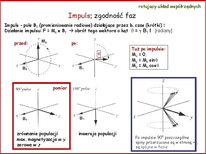rotujący układ współrzędnych Impuls; zgodność faz Impuls - pole B 1 (promieniowanie radiowe) działające