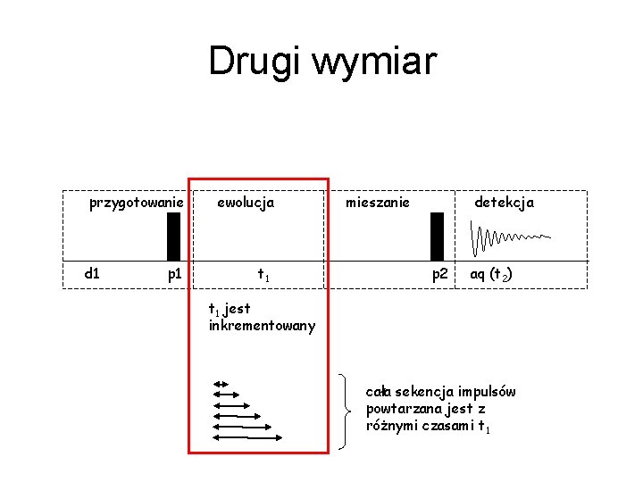 Drugi wymiar przygotowanie d 1 p 1 ewolucja t 1 mieszanie detekcja p 2