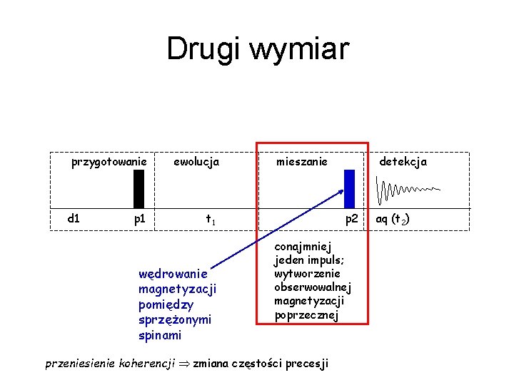 Drugi wymiar przygotowanie d 1 p 1 ewolucja mieszanie t 1 wędrowanie magnetyzacji pomiędzy