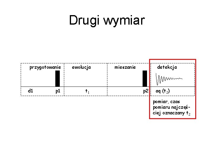 Drugi wymiar przygotowanie d 1 p 1 ewolucja t 1 mieszanie detekcja p 2