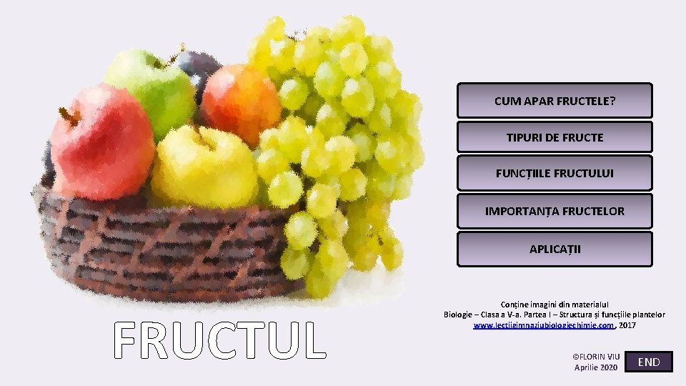 CUM APAR FRUCTELE? TIPURI DE FRUCTE FUNCȚIILE FRUCTULUI IMPORTANȚA FRUCTELOR APLICAȚII FRUCTUL Conține imagini