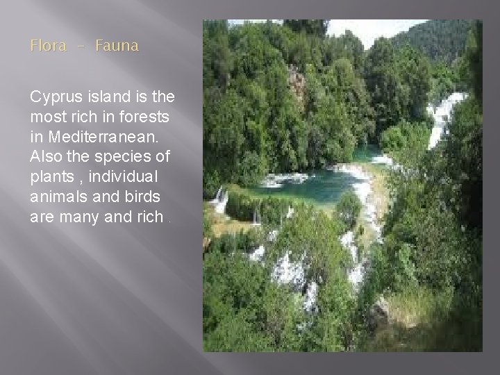 Flora - Fauna Cyprus island is the most rich in forests in Mediterranean. Also