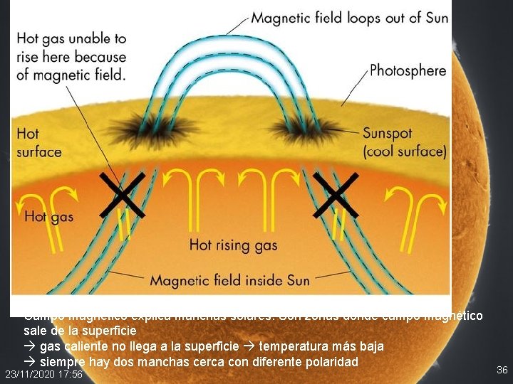 Campo magnético explica manchas solares: Son zonas donde campo magnético sale de la superficie Campo magnético explica manchas solares: Son zonas donde campo magnético sale de la superficie