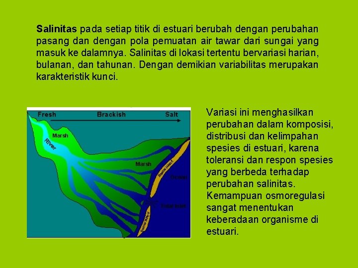 Salinitas pada setiap titik di estuari berubah dengan perubahan pasang dan dengan pola pemuatan