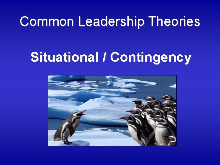 Common Leadership Theories Situational / Contingency 