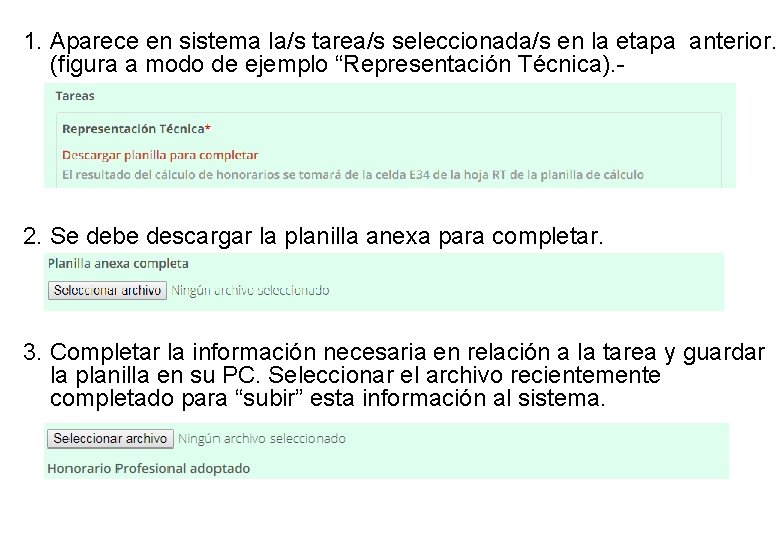 1. Aparece en sistema la/s tarea/s seleccionada/s en la etapa anterior. (figura a modo