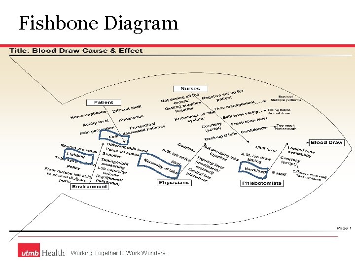 Fishbone Diagram Working Together to Work Wonders. 