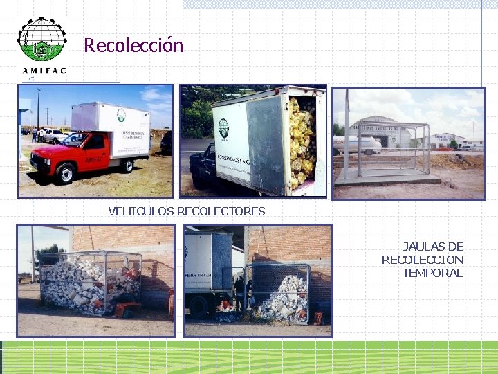 Recolección VEHICULOS RECOLECTORES JAULAS DE RECOLECCION TEMPORAL 