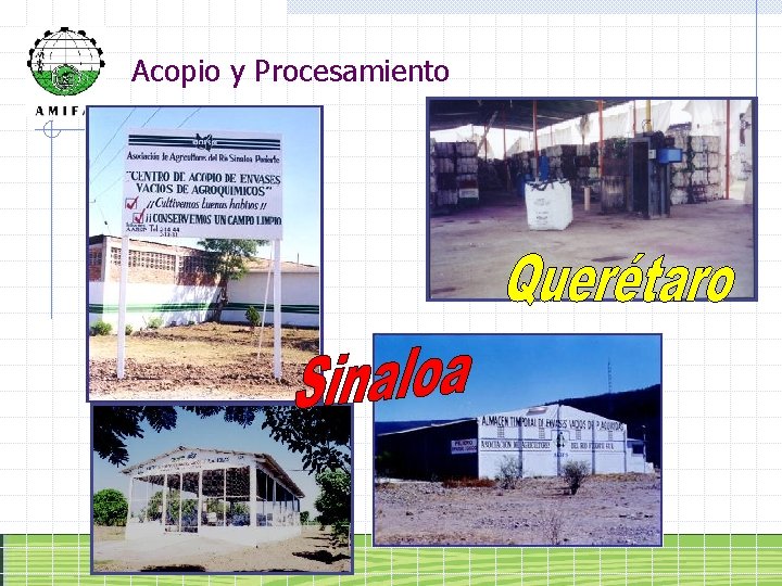 Acopio y Procesamiento 