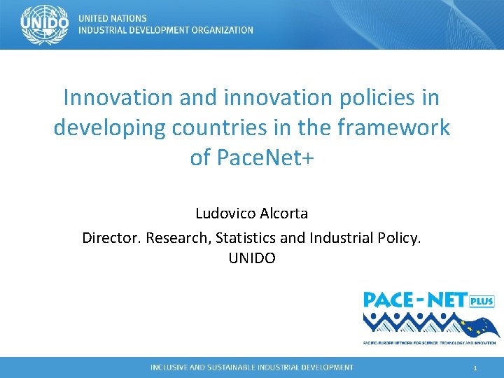Innovation and innovation policies in developing countries in the framework of Pace. Net+ Ludovico
