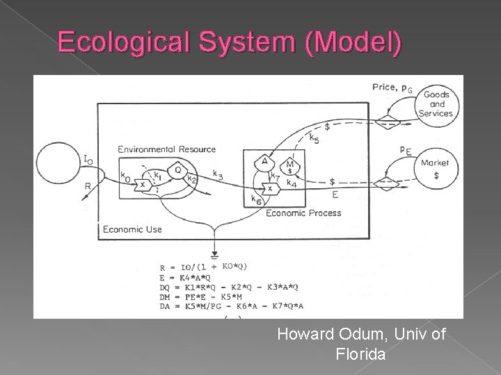 Ecological System (Model) Howard Odum, Univ of Florida 