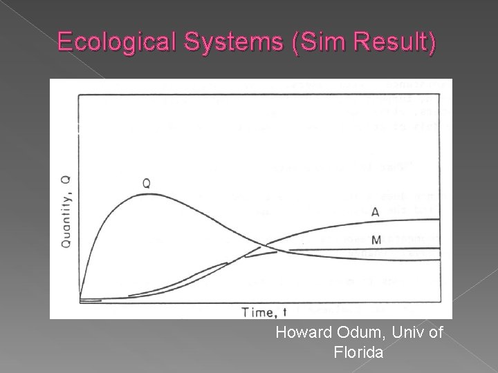 Ecological Systems (Sim Result) Howard Odum, Univ of Florida 