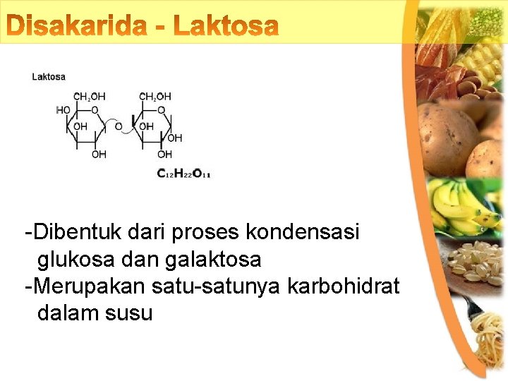 -Dibentuk dari proses kondensasi glukosa dan galaktosa -Merupakan satu-satunya karbohidrat dalam susu 