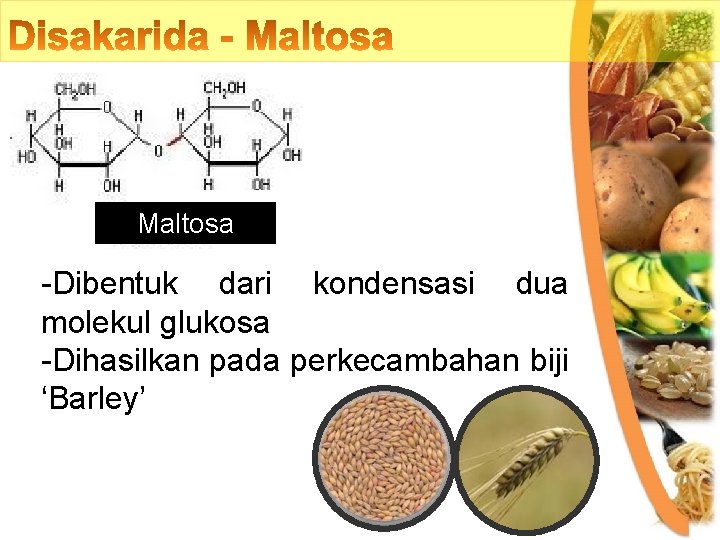 Maltosa -Dibentuk dari kondensasi dua molekul glukosa -Dihasilkan pada perkecambahan biji ‘Barley’ 