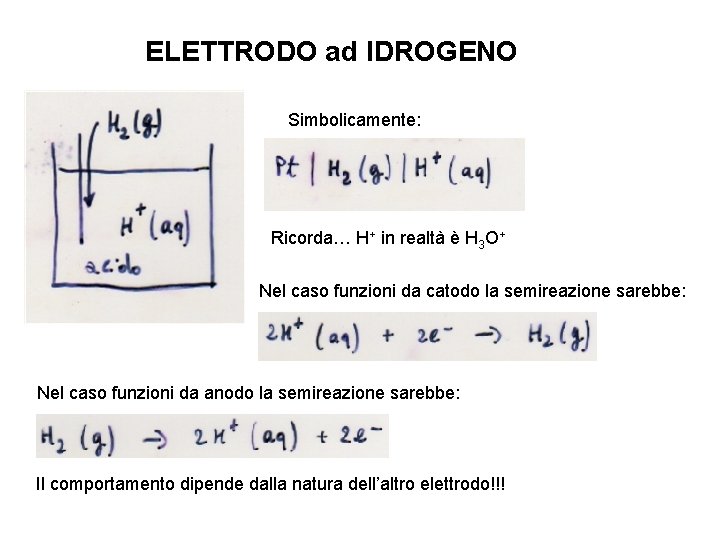 ELETTRODO ad IDROGENO Simbolicamente: Ricorda… H+ in realtà è H 3 O+ Nel caso