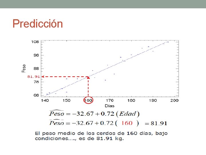 Predicción Predicción