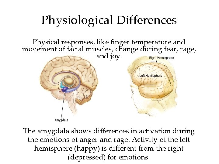 Physiological Differences Physical responses, like finger temperature and movement of facial muscles, change during