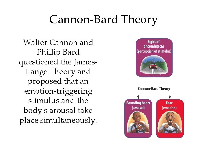 Cannon-Bard Theory Walter Cannon and Phillip Bard questioned the James. Lange Theory and proposed