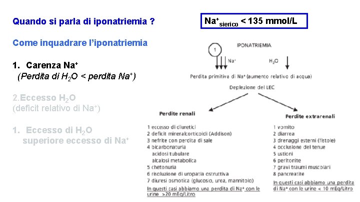 Quando si parla di iponatriemia ? Come inquadrare l’iponatriemia 1. Carenza Na+ (Perdita di