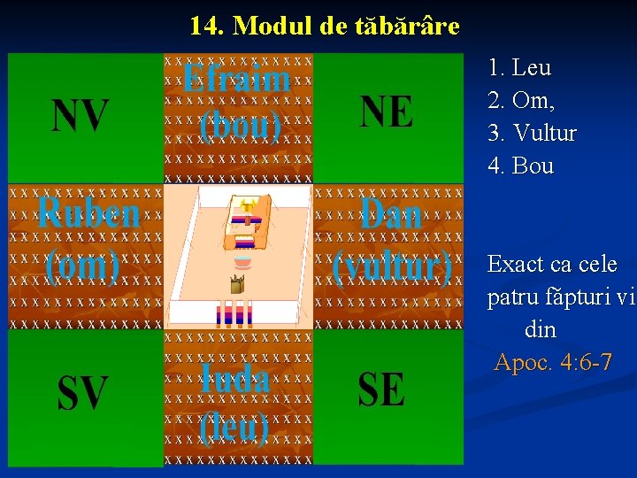14. Modul de tăbărâre 1. Leu 2. Om, 3. Vultur 4. Bou Exact ca