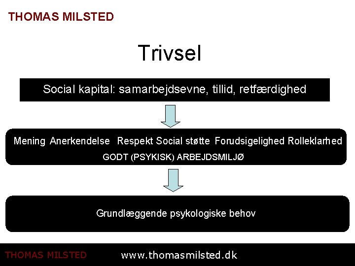 THOMAS MILSTED Trivsel Social kapital: samarbejdsevne, tillid, retfærdighed Mening Anerkendelse Respekt Social støtte Forudsigelighed